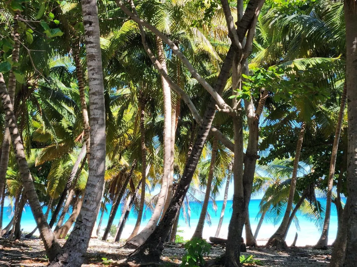 Beachfront Apartment, Quiet 4 Beds, 1 Bath, Ac, Wi-Fi, Hot Water, In Paraiso Near Los Patos Appartement