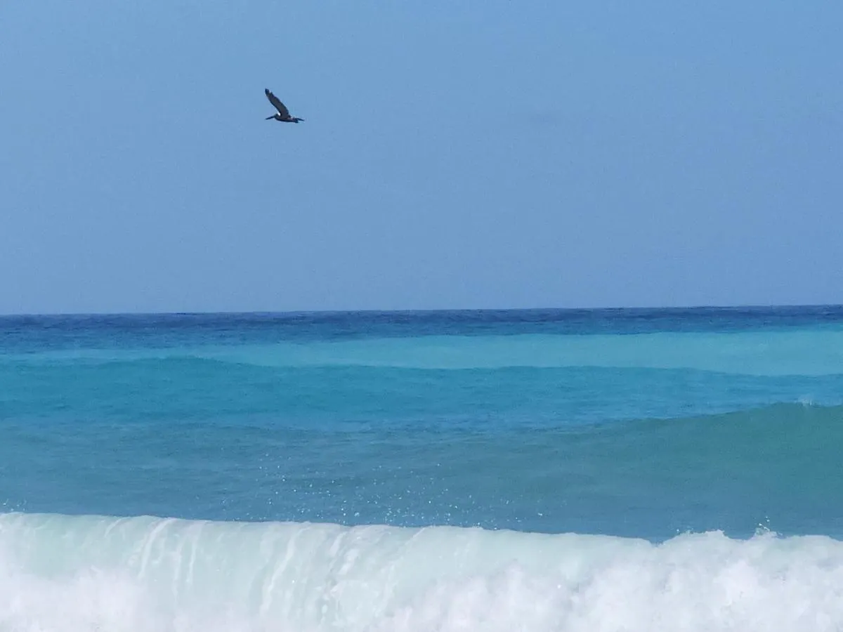 Appartement Beachfront Apartment, Quiet 4 Beds, 1 Bath, Ac, Wi-Fi, Hot Water, In Paraiso Near Los Patos