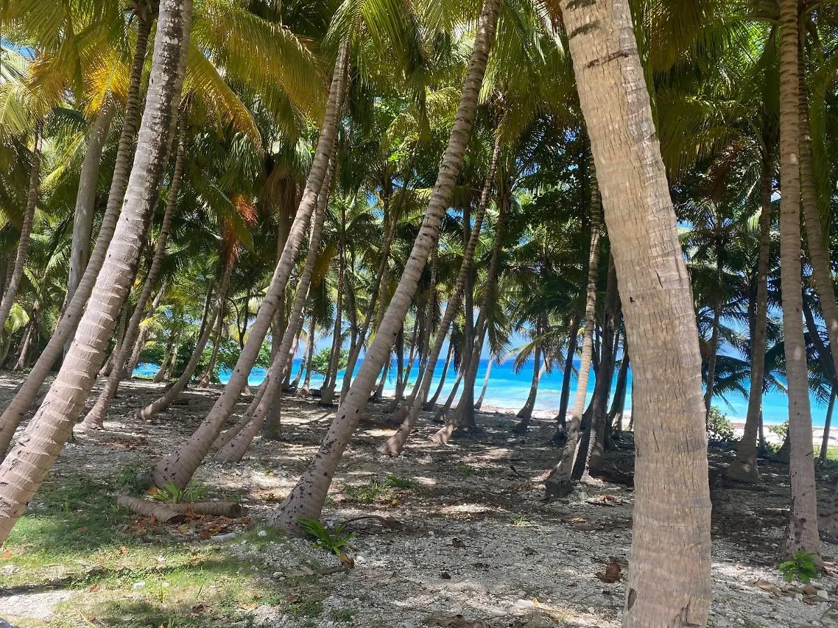 Beachfront Apartment, Quiet 4 Beds, 1 Bath, Ac, Wi-Fi, Hot Water, In Paraiso Near Los Patos Dominican Republic