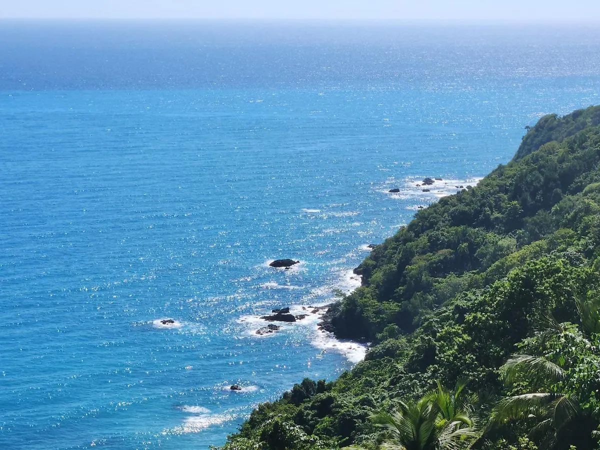 Apartment Beachfront Apartment, Quiet 4 Beds, 1 Bath, Ac, Wi-Fi, Hot Water, In Paraiso Near Los Patos Dominican Republic